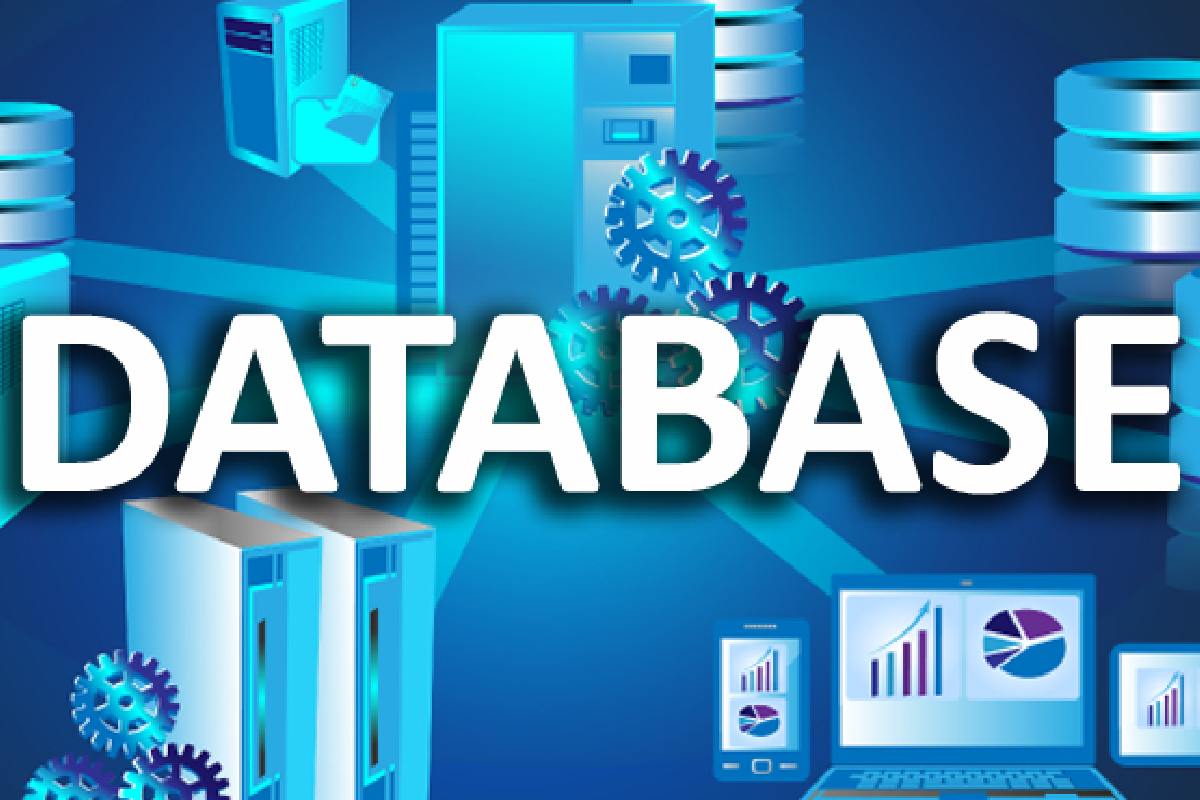 Business Database Write For Us